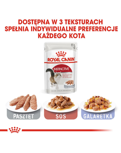 ROYAL CANIN Instinctive pate 12 x 85 g