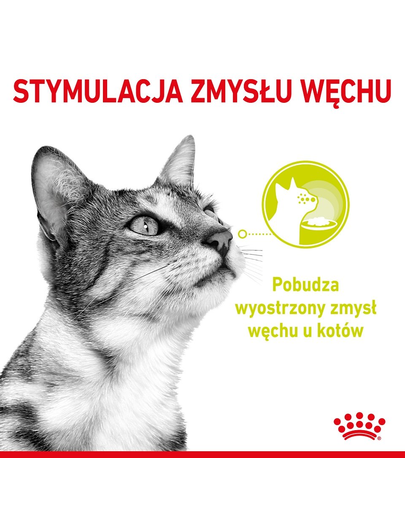 ROYAL CANIN Sensory Smell Gravy hrana umeda pentru pisici, in sos 12 x 85 g
