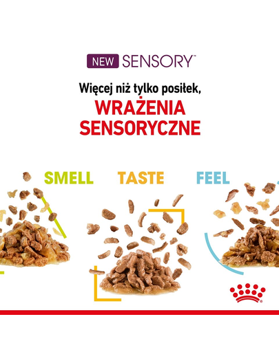 ROYAL CANIN Sensory Smell Gravy hrana umeda pentru pisici, in sos 12 x 85 g