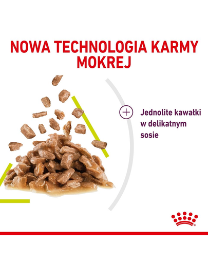 ROYAL CANIN Sensory Smell Gravy hrana umeda pentru pisici, in sos 12 x 85 g