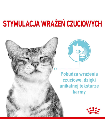 ROYAL CANIN Sensory Feel Gravy hrana umeda pentru pisici, in sos 12 x 85 g