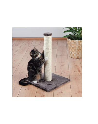 TRIXIE Sisal 62 cm