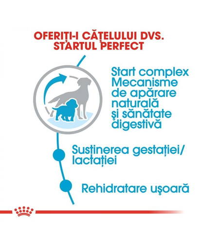 ROYAL CANIN Medium Starter Mother&Babydog hrana uscata pentru catea mama si puii pana la 8 saptamani de talie medie 15 kg