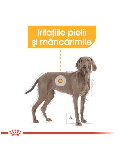 ROYAL CANIN Maxi Dermacomfort 12 kg hrana dietetica pentru caini adulti de talie mare cu pielea predispusa la iritatii