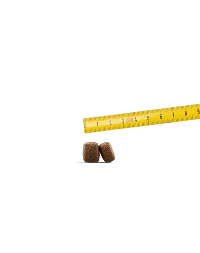 JOSERA Nature Energetic hrana uscata pentru caini sportivi, foarte activi 15 kg
