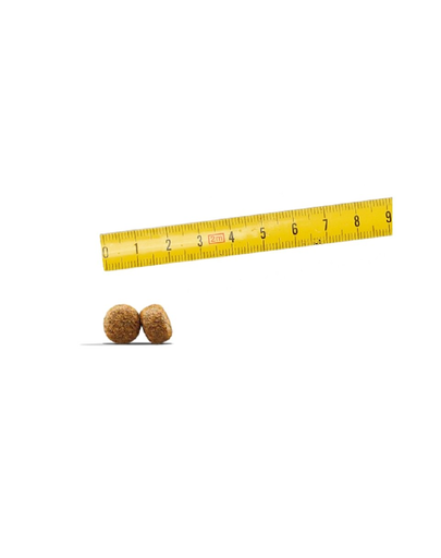 JOSERA Dog Balance hrana uscata pentru caini seniori 900g