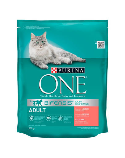 PURINA ONE ADULT Hrana uscata pentru pisici adulte, bogata in somon 800g