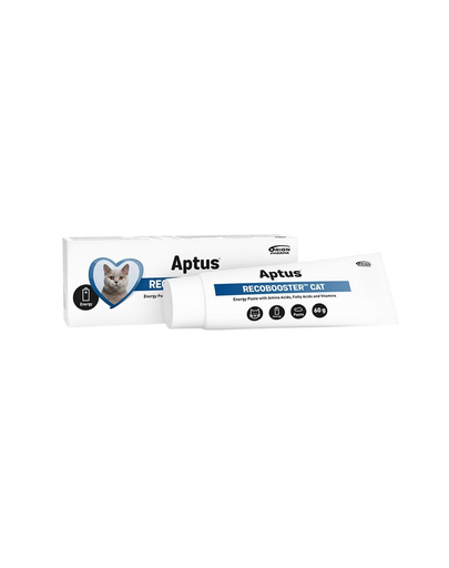 APTUS Recobooster Cat 60 g pasta energetica pentru pisici