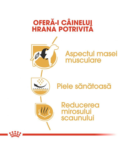 Royal Canin French Bulldog Adult Hrana uscata pentru caini adulti 1.5 kg