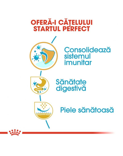 Royal Canin French Bulldog Puppy hrana uscata pentru catei Bulldog 1 kg