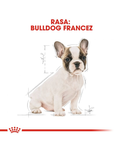 Royal Canin French Bulldog Puppy hrana uscata pentru catei Bulldog 1 kg