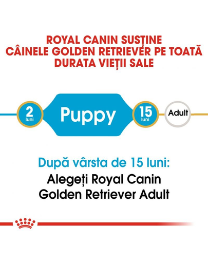 Royal Canin Golden Retriever Puppy hrana uscata pentru catei Retriver, pana la 15 luni 12 kg
