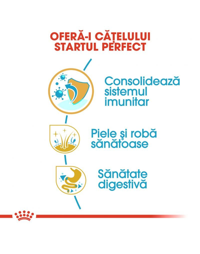 Royal Canin Golden Retriever Puppy hrana uscata pentru catei Retriver, pana la 15 luni 12 kg