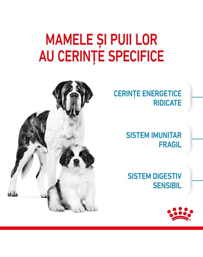 Royal Canin Giant Starter Mother & Babydog gestatie/ lactatie pui hrana uscata caine 15 kg