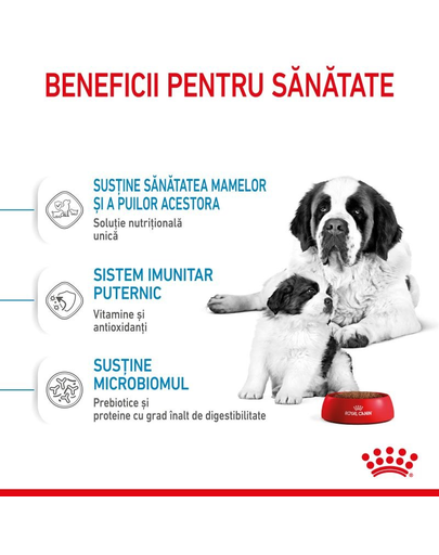 Royal Canin Giant Starter Mother & Babydog gestatie/ lactatie pui hrana uscata caine 15 kg