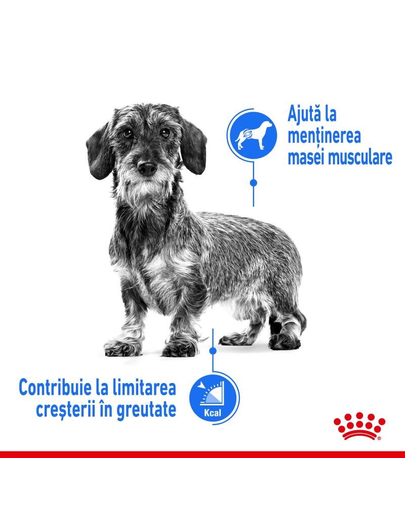Royal Canin Mini Light Weight Care Adult hrana uscata pentru caini adulti de talie mica, pentru limitarea cresterii in greutate 8 kg