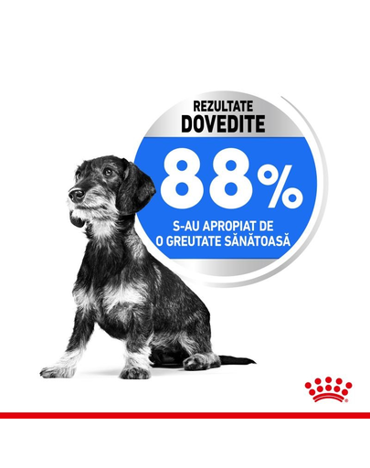 Royal Canin Mini Light Weight Care Adult hrana uscata pentru caini adulti de talie mica, pentru limitarea cresterii in greutate 8 kg