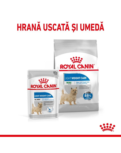Royal Canin Mini Light Weight Care Adult hrana uscata pentru caini adulti de talie mica, pentru limitarea cresterii in greutate 8 kg