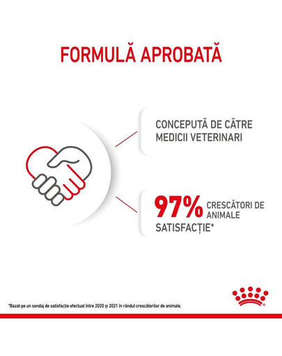 Royal Canin Mini Puppy hrana uscata pentru catei de talie mica 8 kg
