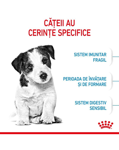 Royal Canin Mini Puppy hrana uscata pentru catei de talie mica 8 kg