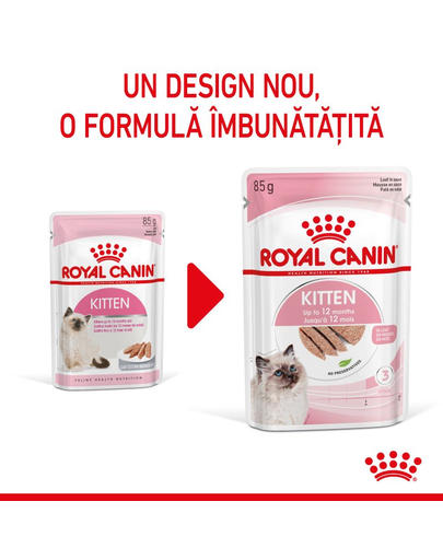Royal Canin Kitten In Loaf hrana umeda pate pentru pisica, 12 x 85 g