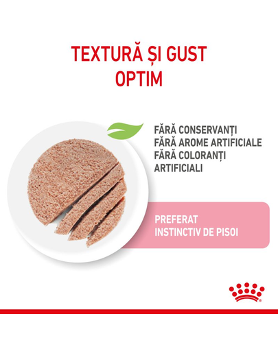 Royal Canin Kitten In Loaf hrana umeda pate pentru pisica, 12 x 85 g