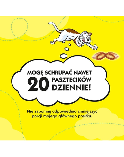 DREAMIES recompense pisici, cu somon 60 g