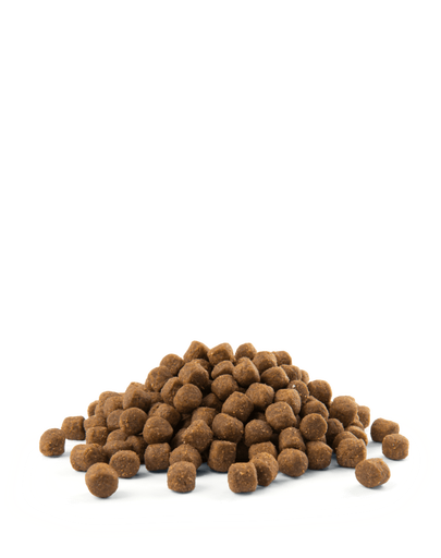 VERSELE-LAGA Opti Life Puppy Medium hrana uscata pentru caini juniori de talie medie, cu pasari de curte 12,5 kg