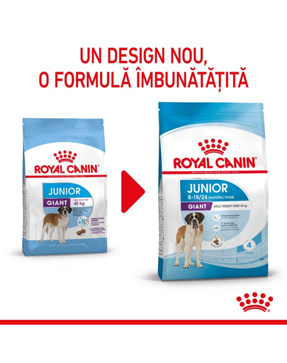 Royal Canin Giant Junior hrana uscata caine junior etapa 2 de crestere , 15 kg