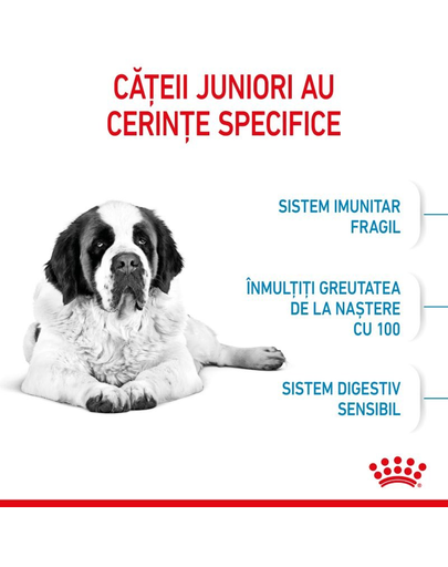 Royal Canin Giant Junior hrana uscata caine junior etapa 2 de crestere , 15 kg