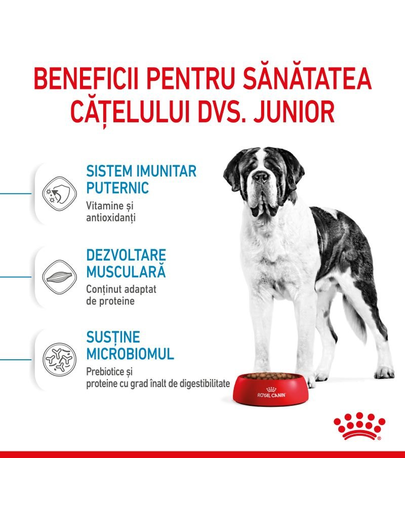 Royal Canin Giant Junior hrana uscata caine junior etapa 2 de crestere , 15 kg
