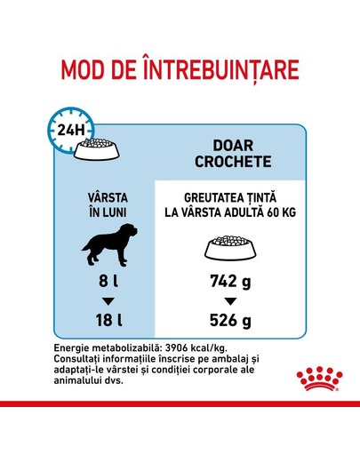 Royal Canin Giant Junior hrana uscata caine junior etapa 2 de crestere , 15 kg