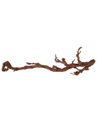 TRIXIE Decoratiune terariu, radacina vita 5 buc. sablate 40-60 cm