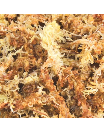 TRIXIE Așternut mușchi sphagnum 100 g