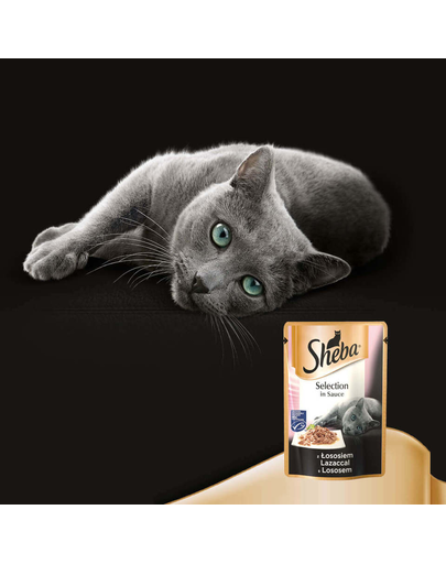 SHEBA Selection in Sauce cu somon 85 g