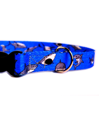 FERA Zgarda pentru caini, cu inchizatoare de plastic Shark 25mm/34-60 cm