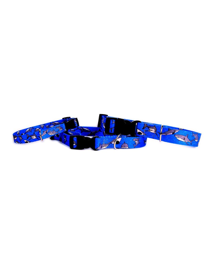 FERA Zgarda pentru caini, cu inchizatoare de plastic Shark 25mm/34-60 cm