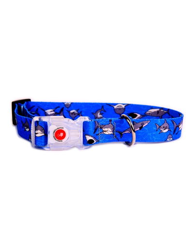 FERA Zgarda pentru caini LED Shark, 20 mm/20-35 cm