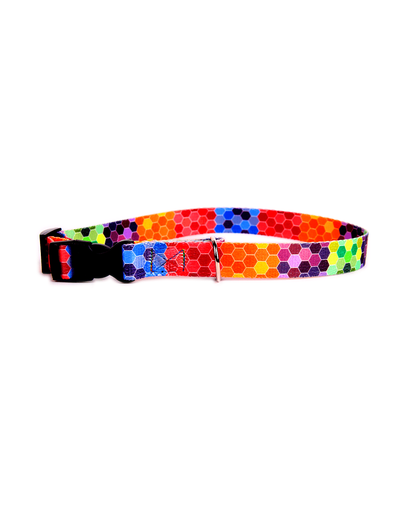 FERA Zgarda pentru caini, cu inchizatoare de plastic Octagon 20 mm/30-55 cm