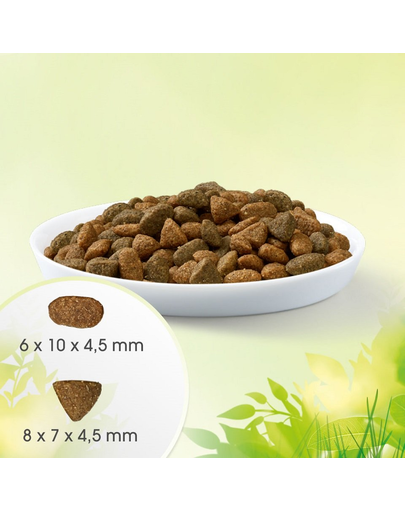 PERFECT FIT Natural Vitality 6 kg hrana pentru pisici adulte, bogata in pui si vita