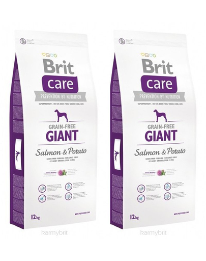 BRIT Care Grain-Free Giant Salmon & Potato hrana uscata caini de talie foarte mare, somon si cartof 24 kg (2 x 12 kg)