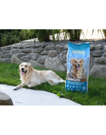 DIVINUS Complete hrana pentru caini pretentiosi, cu vitamine si minerale 20 kg