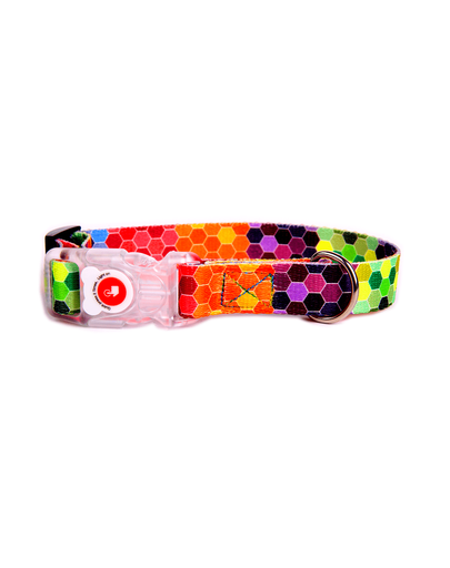 FERA Zgarda pentru caini Octagon LED 20 mm/20-35 cm