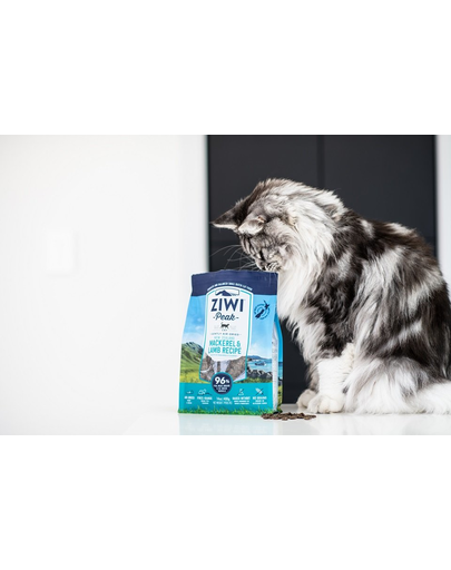 ZIWIPEAK Cat Hrana uscata pentru pisici, cu macrou si miel 1kg