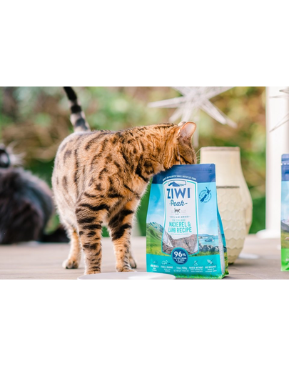 ZIWIPEAK Cat Hrana uscata pentru pisici, cu macrou si miel 1kg