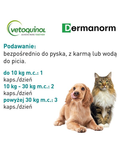 VETOQUINOL Dermanorm VTQ care Supliment alimentar pentru caini si pisici, impotriva caderii parului 90 tab.