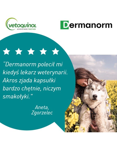VETOQUINOL Dermanorm VTQ care Supliment alimentar pentru caini si pisici, impotriva caderii parului 90 tab.