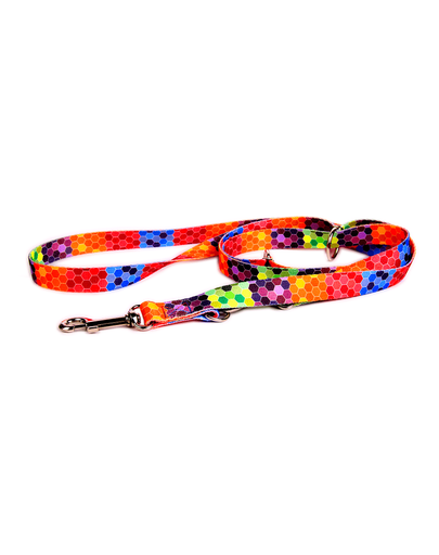 FERA Lesa pentru caini Octagon 25 mm/220 cm