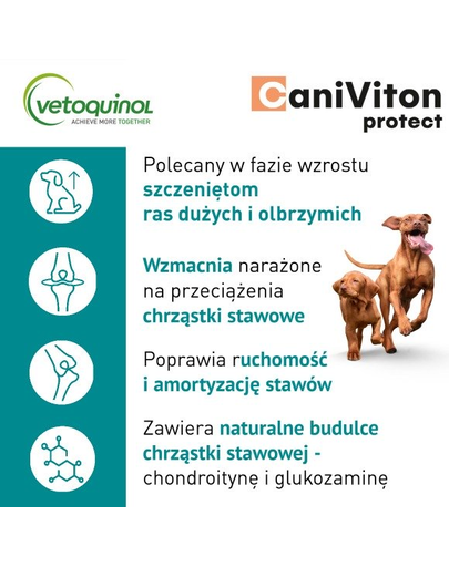 VETOQUINOL Caniviton protect Supliment alimentar pentru caini de talie mare si uriasa, pentru articulatii 30 tab.