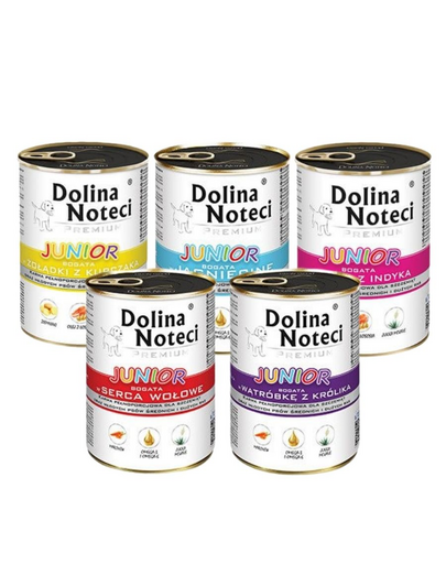 DOLINA NOTECI Junior Premium pachete conserve catei 24x400g mix arome